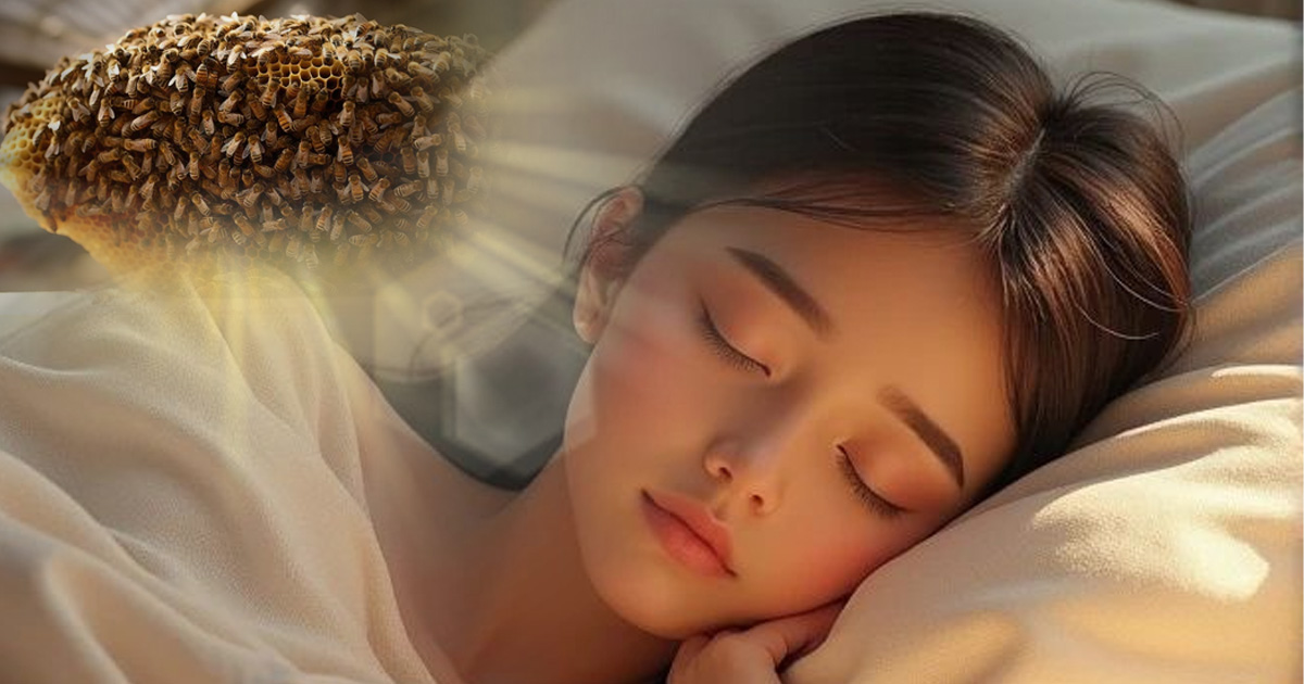 ฝันเห็นผึ้ง รังผึ้ง เลขเด็ด